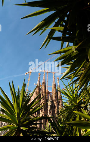 La Sagrada Familia, la cathédrale de l'architecte Gaudi et l'une des principales attractions touristiques de Barcelone. Banque D'Images