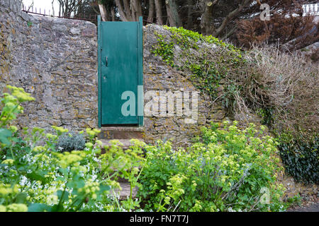 Une vieille porte verte situé dans un jardin, mur, cacher ce qui est derrière. Banque D'Images