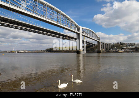 Royal Albert Bridge et pont Tamar, Saltash Cornouailles en Angleterre. Banque D'Images