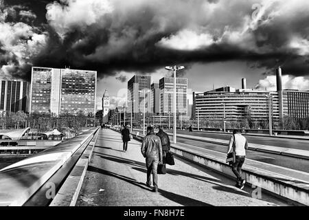 Le pont Charles de Gaulle à Paris, France Banque D'Images