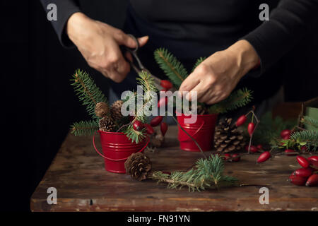 Faire de Noël la décoration de cynorhodon, pommes de pin et branches de sapin Banque D'Images