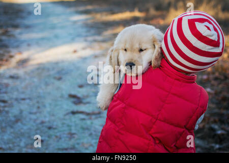 Sleepy chiot golden retriever dog en cours par boy Banque D'Images