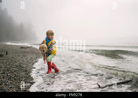 Boy running in surf exerçant son chiot golden retriever dog Banque D'Images