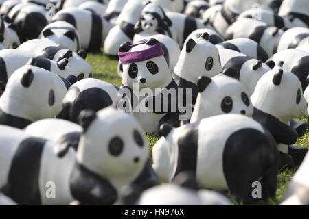 Bangkok, Thaïlande. 14Th Mar, 2016. Les pandas 1600 Exposition de l'artiste français Paulo Grangeon ont été affichées à Lumpini Park de diffuser le message sur la préservation de l'environnement. Le nombre de pandas exposé représente également leur population réelle à l'état sauvage. Credit : Vichan Poti/Pacific Press/Alamy Live News Banque D'Images