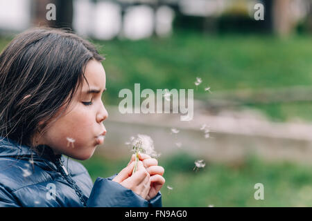 Girl blowing dandelion Banque D'Images