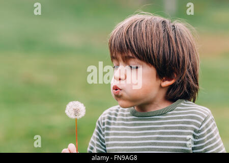 Boy blowing dandelion Banque D'Images