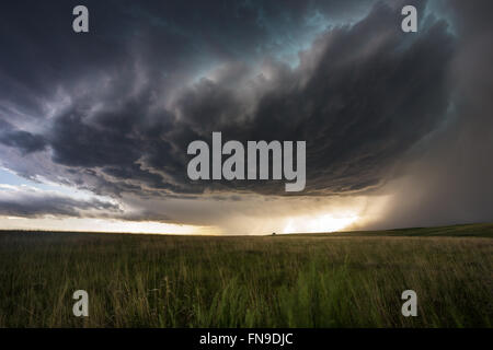 SuperCell Storm Cloud, plaines du Colorado, États-Unis Banque D'Images