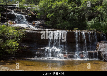 Murs en cascade Wentworth Blue Mountains. Banque D'Images