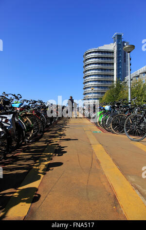 Parking à vélos près de la Gare Centrale d'Amsterdam, Pays-Bas Banque D'Images