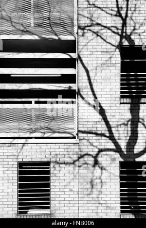 L'ombre des arbres en hiver dans la lumière du soleil sur un parking de plusieurs étages à Milton Keynes, Buckinghamshire, Angleterre. Noir et blanc Banque D'Images