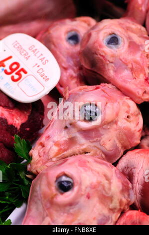 Les têtes d'agneau. Le marché de la Boquería, Barcelone. La Catalogne, Espagne Banque D'Images