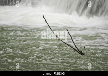 Chutes de Monte Gelato en hiver Banque D'Images