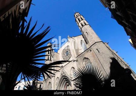 L'église gothique de Santa Maria del Mar, La Ribera, Barcelone, Catalogne, Espagne Banque D'Images