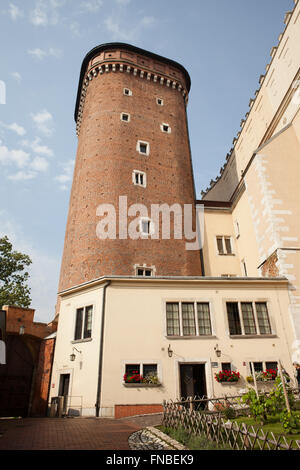 Tour au Château Royal de Wawel à Cracovie, Pologne Banque D'Images