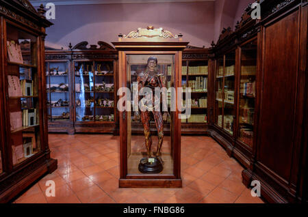 Naples, Italie. 14Th Mar, 2016. Musée anatomique, la deuxième plus ancienne université de Naples, est ouvert au public. © Salvatore Laporta/Pacific Press/Alamy Live News Banque D'Images