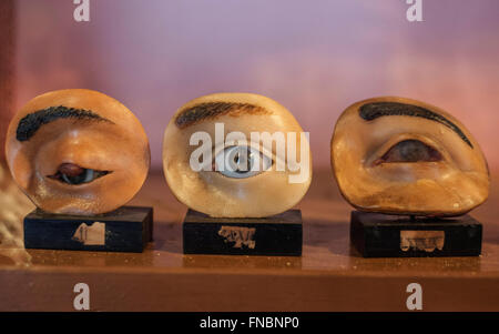 Naples, Italie. 14Th Mar, 2016. Musée anatomique, la deuxième plus ancienne université de Naples, est ouvert au public. © Salvatore Laporta/Pacific Press/Alamy Live News Banque D'Images