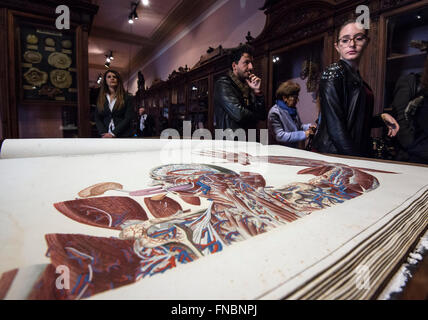 Naples, Italie. 14Th Mar, 2016. Musée anatomique, la deuxième plus ancienne université de Naples, est ouvert au public. © Salvatore Laporta/Pacific Press/Alamy Live News Banque D'Images