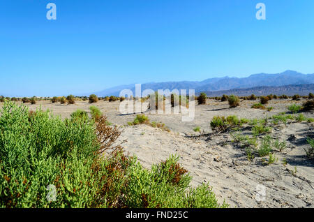 Un champ du diable dans la vallée de la mort, en Californie. Montagnes brumeuses sandy ground sous ciel nuageux ciel bleu. Banque D'Images