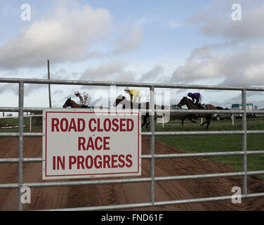 Hippodrome Royal bas, Lisburn, Irlande du Nord - route d'accès du public est fermé pendant la course. Banque D'Images