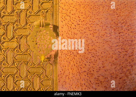 La rouille sur la plaque de métal Banque D'Images