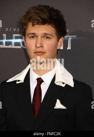 New York, USA. 14Th Mar, 2016. Acteur ANSEL ELGORT assiste à la première mondiale de la série : 'divergentes Allegiant' tenue à l'AMC Loews Lincoln Square Theatre. Credit : Nancy/Kaszerman ZUMA Wire/Alamy Live News Banque D'Images