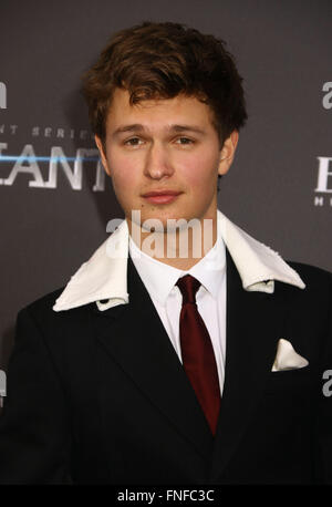 New York, USA. 14Th Mar, 2016. Acteur ANSEL ELGORT assiste à la première mondiale de la série : 'divergentes Allegiant' tenue à l'AMC Loews Lincoln Square Theatre. Credit : Nancy/Kaszerman ZUMA Wire/Alamy Live News Banque D'Images