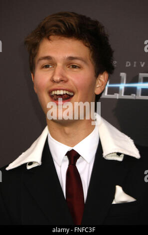 New York, USA. 14Th Mar, 2016. Acteur ANSEL ELGORT assiste à la première mondiale de la série : 'divergentes Allegiant' tenue à l'AMC Loews Lincoln Square Theatre. Credit : Nancy/Kaszerman ZUMA Wire/Alamy Live News Banque D'Images