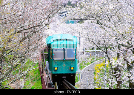 Voiture à Slop Funaoka Ruine du château Park, Japon Banque D'Images