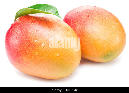 Fruits de mangue avec de l'eau baisse. Isolé sur un fond blanc. Banque D'Images