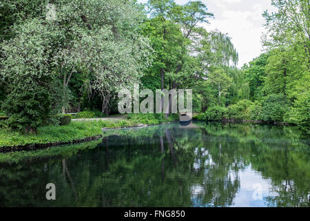 Lac paisible à Tiergarten parc public en été, Berlin Banque D'Images