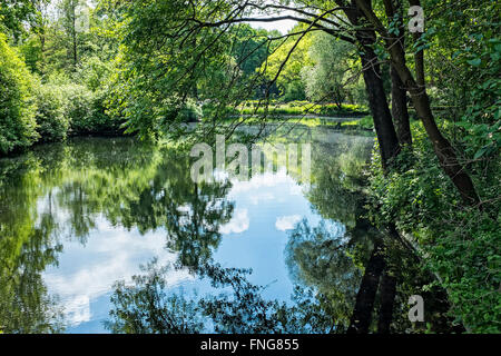 Lac paisible à Tiergarten parc public en été, Berlin Banque D'Images