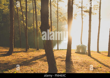 Camping à Pang Tong sous Royal Forest Park Banque D'Images