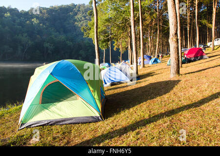 Pang Tong sous Royal Forest Park Banque D'Images