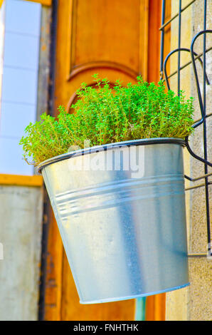 Plante en pot en aluminium. Banque D'Images
