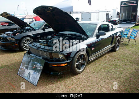 Un noir 2007 Shelby Mustang GT automobile correspond à une exposition de voiture Banque D'Images