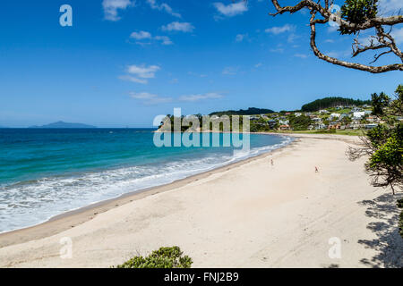 Langs beach, zone de waipu, Northland, North Island, New Zealand Banque D'Images