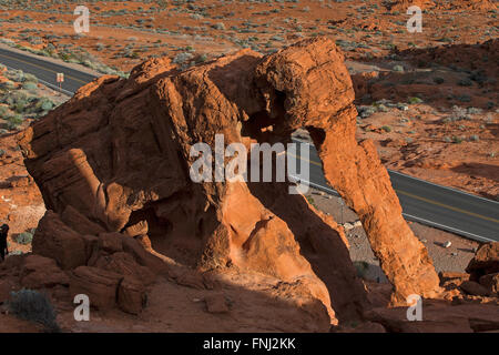 Roche de l'éléphant, la Vallée de Feu State Park, Nevada, United States of America Banque D'Images