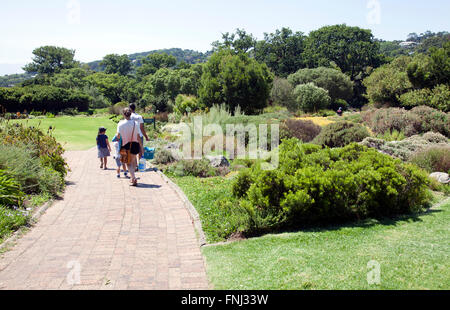 Kirstenbosch National Botanical Garden à Cape Town - Afrique du Sud Banque D'Images