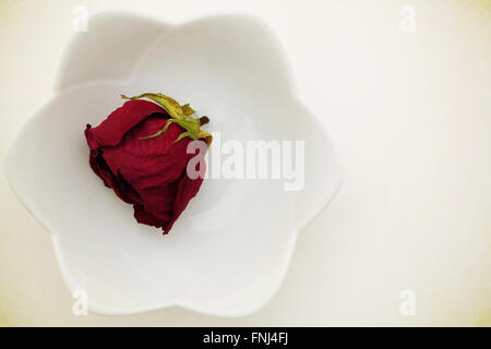 Rose rouge séché dans un bol blanc Banque D'Images