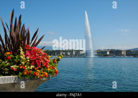 Jet d'eau à Genève Suisse du lac Léman corniche. Banque D'Images