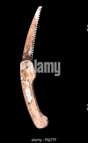 Scie d'élagage pliante rouillée avec un manche en bois et ouvert isolé sur un fond noir Banque D'Images