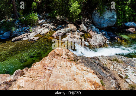 Middle Fork Kaweah River, à proximité de l'autoroute de généraux à Sequoia National Park, Californie, USA. Banque D'Images