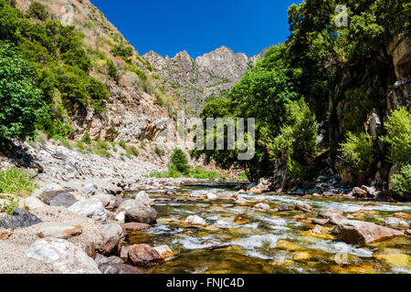 Redwood Creek à Kings Canyon Scenic Byway, la route 180, le Parc National Kings Canyon, sud de la Sierra Nevada, en Californie, USA. Banque D'Images