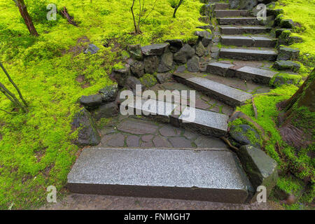 Les escaliers en pierre de granit avec mousse verte paysage enneigé au jardin japonais pendant la saison du printemps Banque D'Images