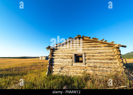 Log cabin abandonnés dans les monts Bighorn dans Wyoming Banque D'Images