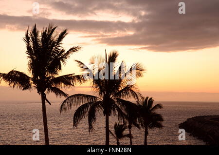 Moody et pittoresque sur le sud du crépuscule Tenerife, Canaries, Espagne Banque D'Images