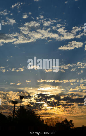 Le lever du soleil sur le désert de Mojave. Golden Sun rise, ciel bleu nuages blancs moelleux. Banque D'Images