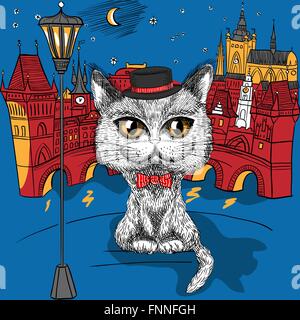 Cat à Prague, le château de Prague et le Pont Charles Illustration de Vecteur