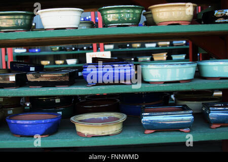 Bonsai pots de céramique à vendre Banque D'Images