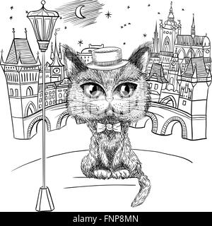 Cat à Prague, le château de Prague et le Pont Charles Illustration de Vecteur